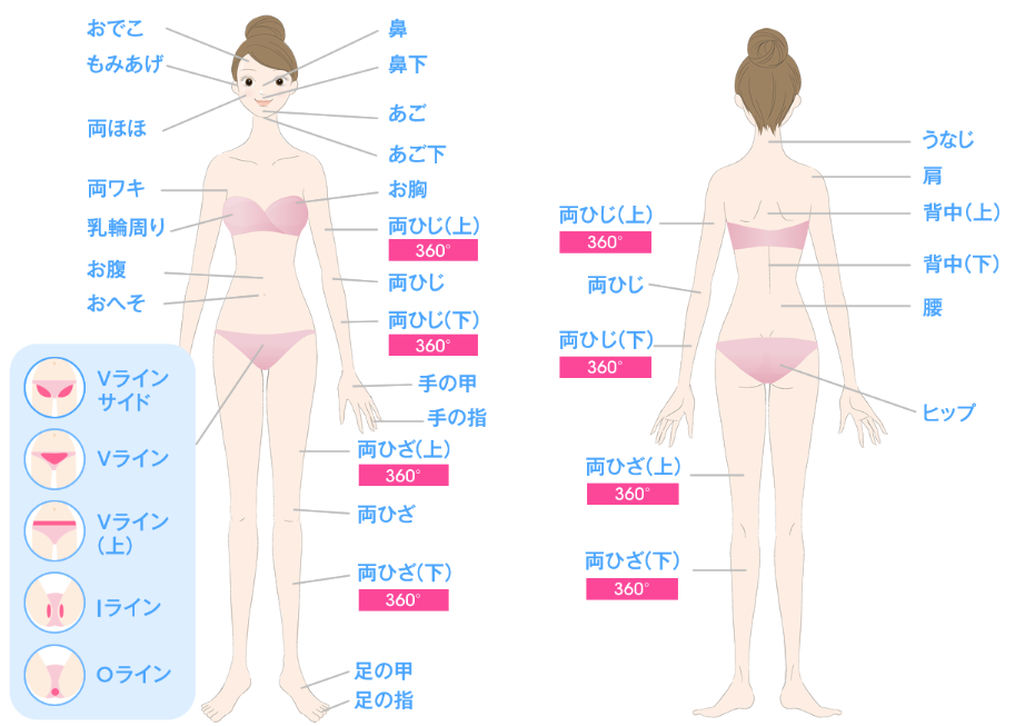 キレイモの脱毛範囲