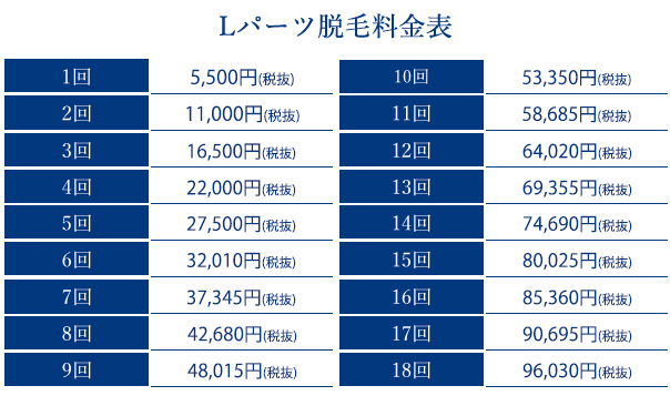 ストラッシュの部位脱毛料金_Lパーツ