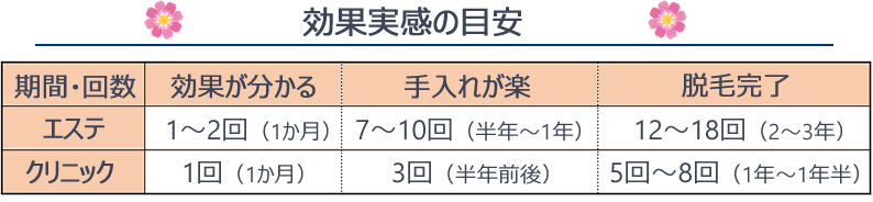 フラッシュ脱毛（エステサロン）での効果実感までの目安