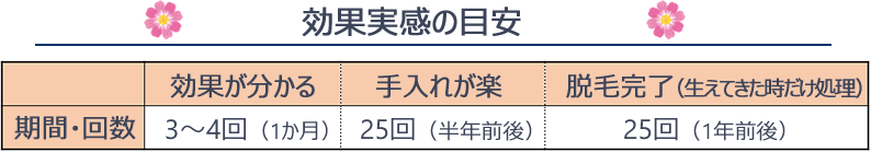 シャインエステボーテの効果実感までの目安